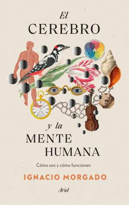 El Cerebro y la Mente Humana