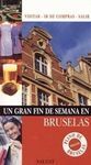GUÍA BRUSELAS