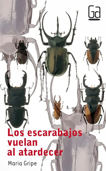 Los Escarabajos Vuelan Al Atardecer