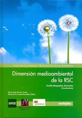 Dimension Medioambiental de la Rsc