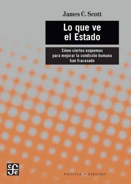 Lo que Ve el Estado