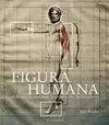 Historias de las Teorías de la Figura Humana