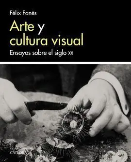 Arte y Cultura Visual