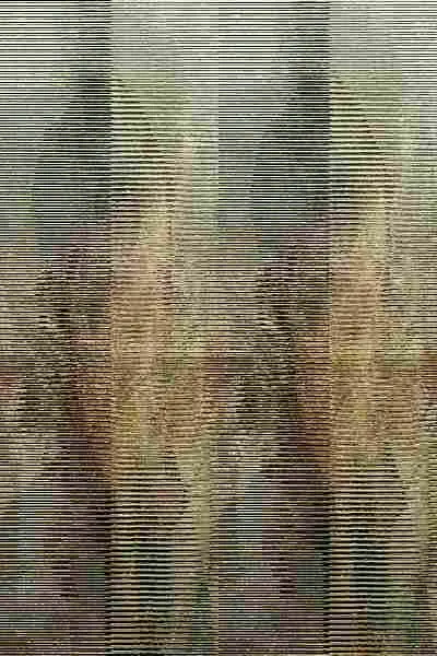 Doña Rosita la Soltera