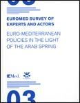 EUROMED SURVEY OF EXPERTS AND ACTORS III.