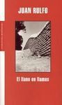 EL LLANO EN LLAMAS