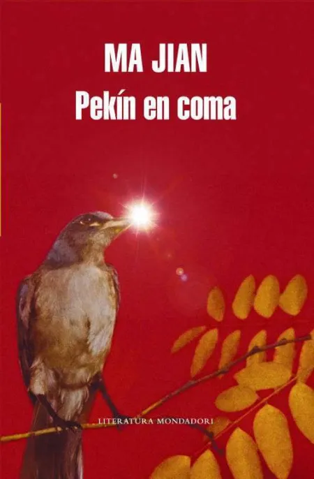 Pekín en Coma