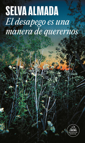 EL DESAPEGO ES UNA MANERA DE QUERERNOS (MAPA DE LAS LENGUAS)