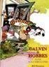 EL GRAN LIBRO DE CALVIN Y HOBBES ILUSTRADO