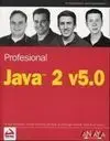 Java 2 V5,0. Profesional