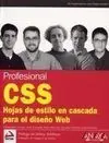 Profesional Css
