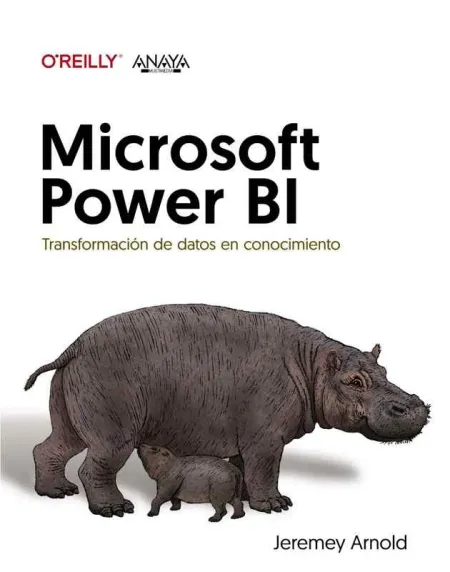 Microsoft Power Bi. Transformación de Datos en Conocimiento