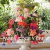 Pasea, Coge y Crea