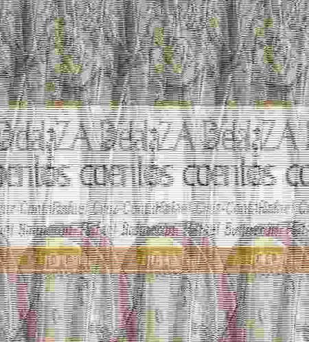 A-Z con los Cuentos-Lvivir-5Añ