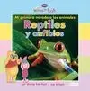 Mi Primera Mirada a los Animales: Reptiles y Anfib