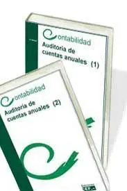 Auditoria de Cuentas Anuales (2)