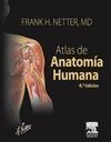 NETTER .ATLAS DE ANATOMÍA HUMANA