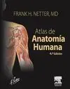 Netter. Atlas de Anatomía Humana