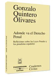 A Donde Va el Derecho Penal. Reflexiones Sobre las Leyes Penales y lo
