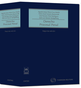DERECHO PROCESAL PENAL 2010