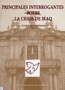 Principales Interrogantes Crisis Iraq