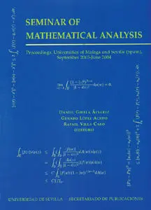 (2003-2004). Seminar Of Mathematical Analysis