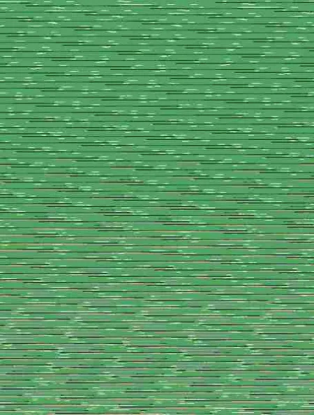 365 Días de Arte y Naturaleza
