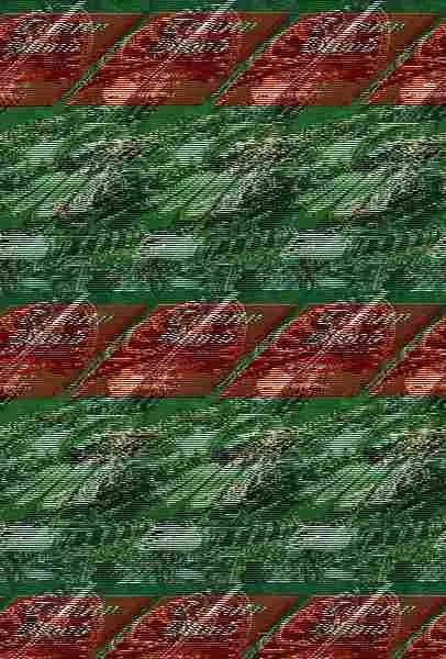 Trinity Blood. El Trono de Rosas