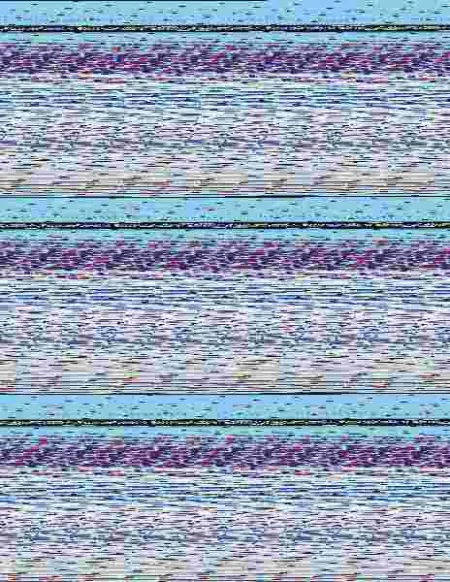 Diseño Paginas Web 2ªed