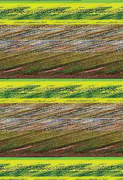 Tratado de la Biomasa