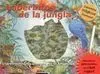Laberintos de la Jungla