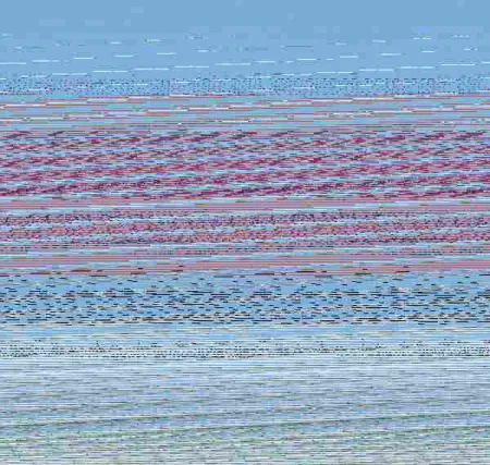 Los Atrevidos en el País de los Unicornios