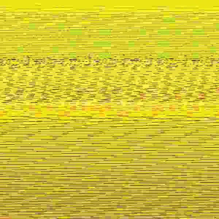 Mi Primer Ajedrez
