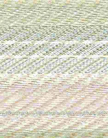 Princesas que Cambiaron el Cuento