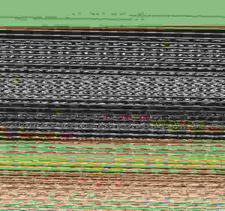 Vamos a Llevarnos Bien