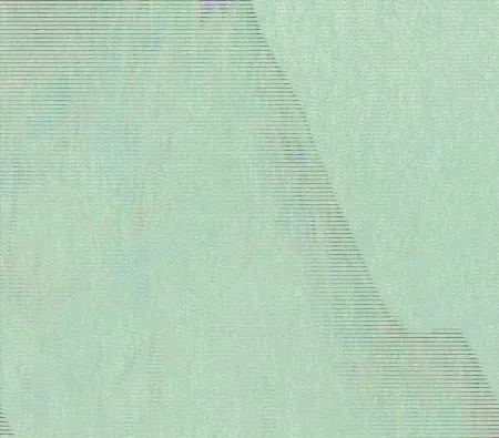 Violeta & Co. Cambian el Mundo