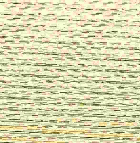 Compañeros de Aventuras