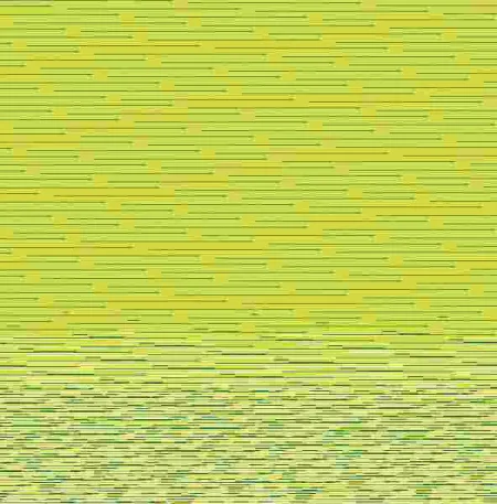 Bruna y Bruno 2 - Paola y el Desorden