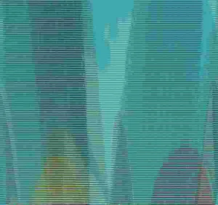 Biomitos