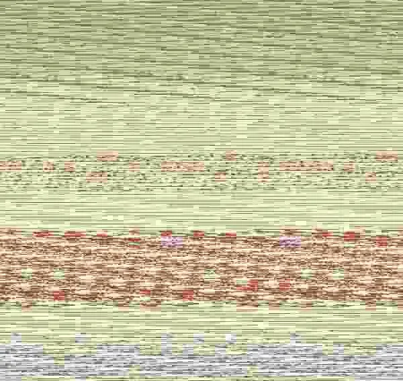 Los Atrevidos en la Isla de los Nimóviles