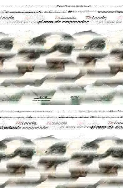Ticlaude
