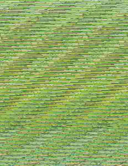 Pintoras Vol. 1