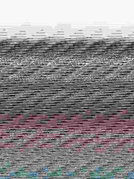 Pack Cincuenta Sombras de Grey Navidad 2013