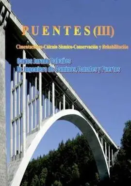 Puentes (Iii)