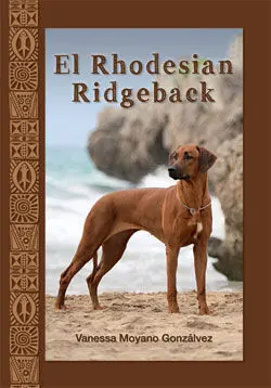 El Rhodesian Ridgeback