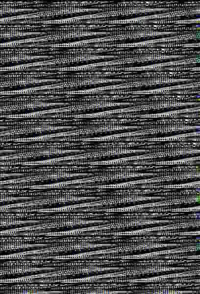 Naturaleza Extrema - 101 Records