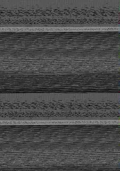 Masajes y Reflexoterapia