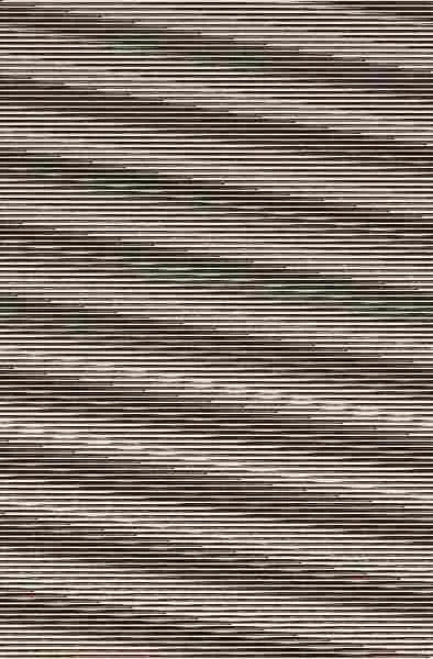 Desastre Es para Siempre, un