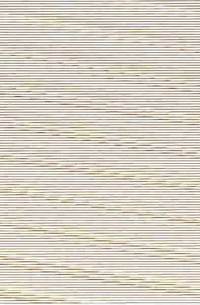 Educar con Sentido Común