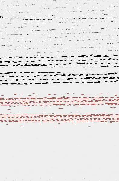 La Región Más Transparente